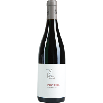 Paul Achs Pannobile 2020