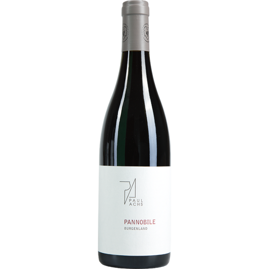 Paul Achs Pannobile 2020